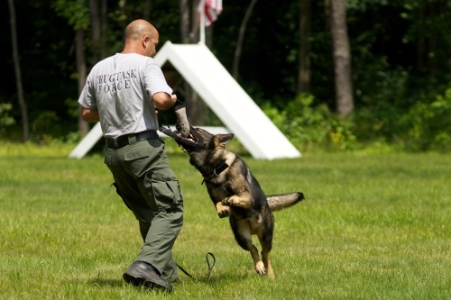 Training - Excel K9