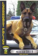 Working Police K-9 from Excel K-9