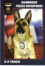 Working Police K-9 from Excel K-9